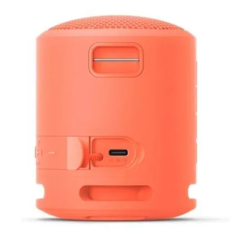 Портативная колонка Sony SRSXB13P.RU2 (Pink)