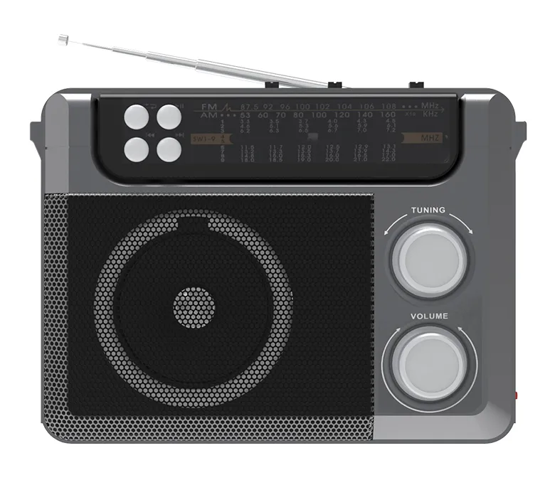 Радиоприемник Ritmix RPR-200 Black