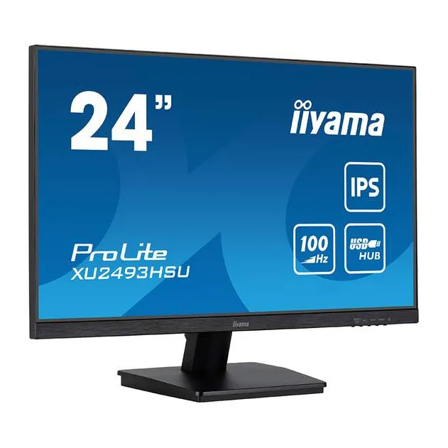 Монитор 24" iiyama ProLite PL2493HS XU2493HSU-B6