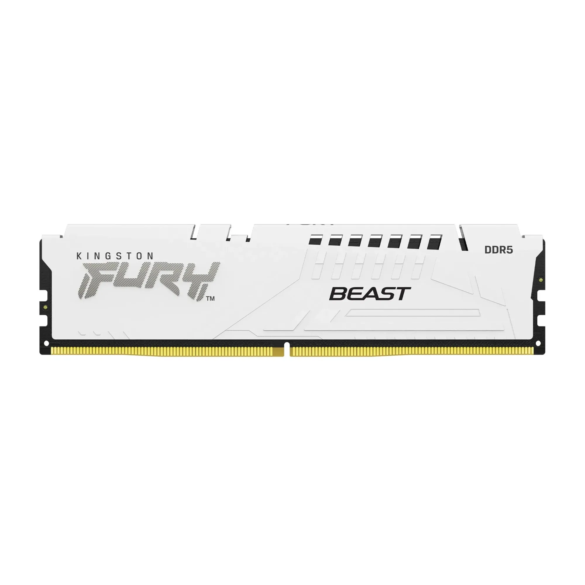 Оперативная память Kingston FURY Beast White KF560C36BWE2-16