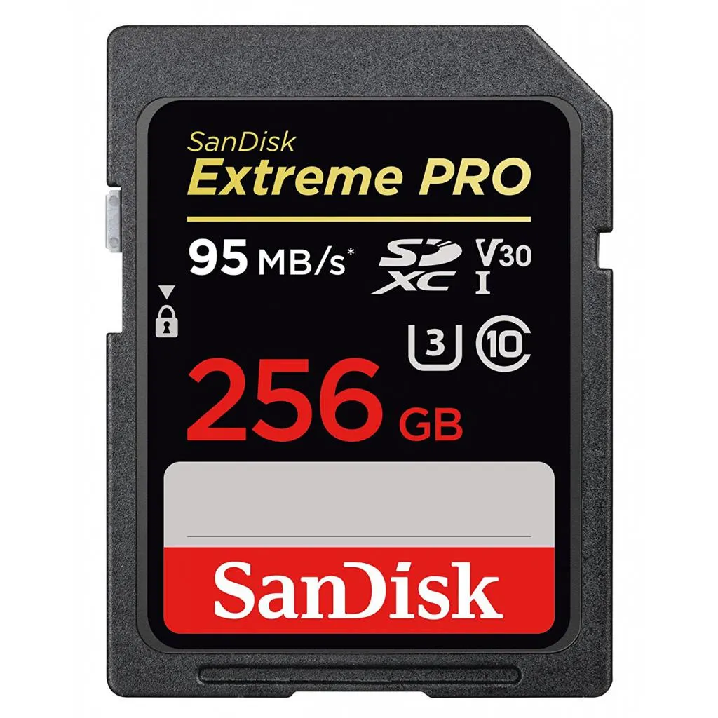 Карта памяти SD 256GB SanDisk SDSDXXG-256G-GN4IN
