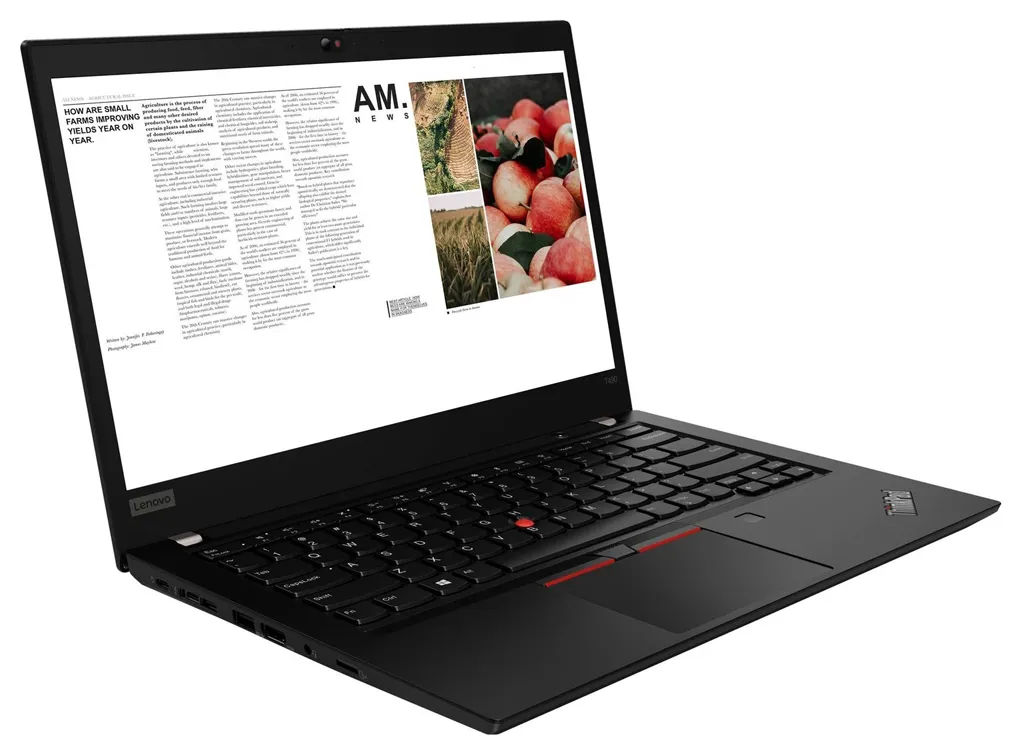 Ноутбук Lenovo ThinkPad T490 20N2004FRT