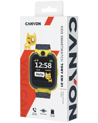 Смарт-часы Canyon CNE-KW31YB