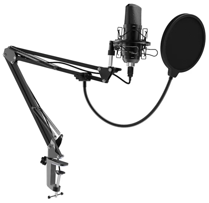 Микрофон RITMIX RDM-180