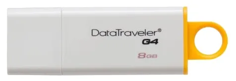USB Флеш 8GB Kingston DTIG4/8GB