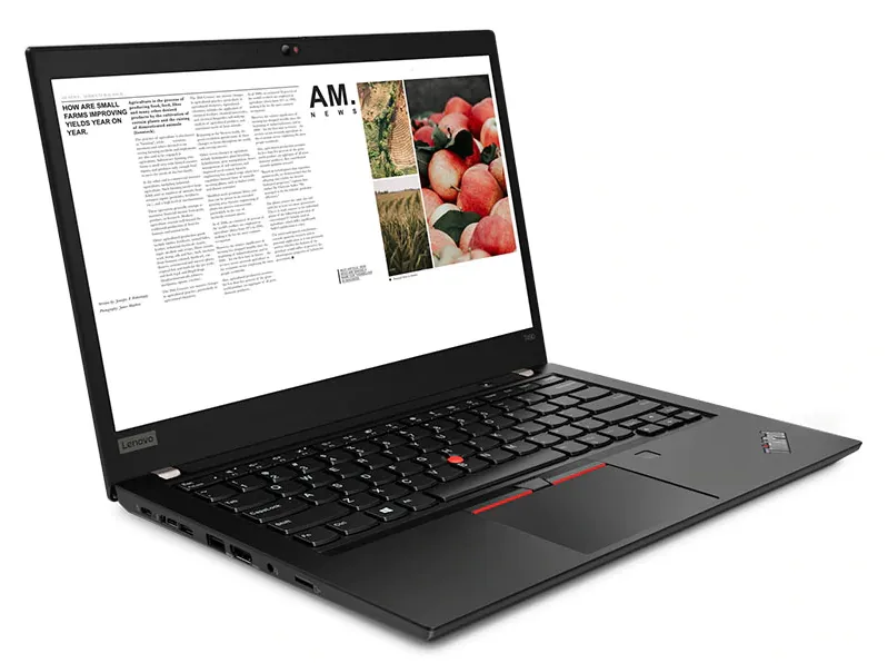 Ноутбук Lenovo ThinkPad T490 20N20009RT