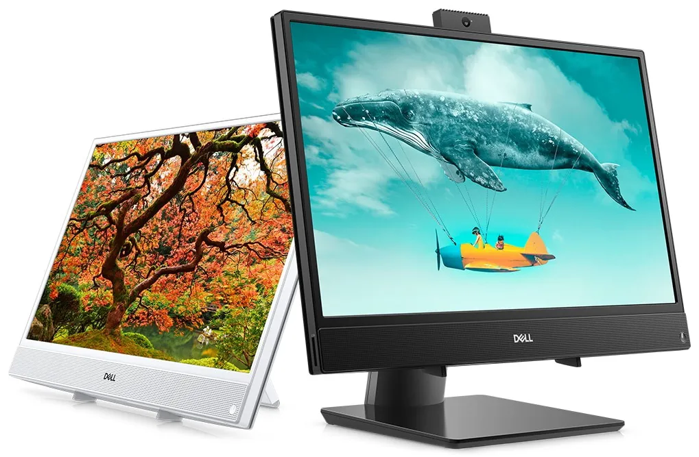 Моноблок Dell Inspiron 3480 210-ARLH_1