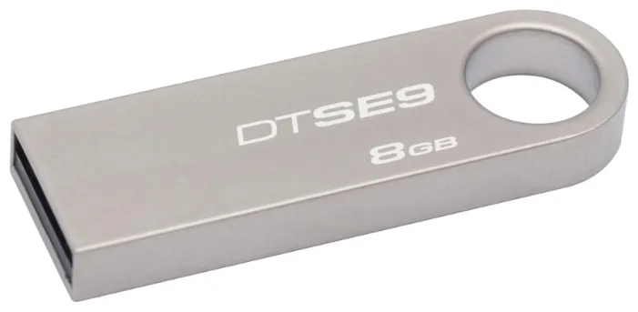 USB Флеш 8GB Kingston DTSE9H/8GB
