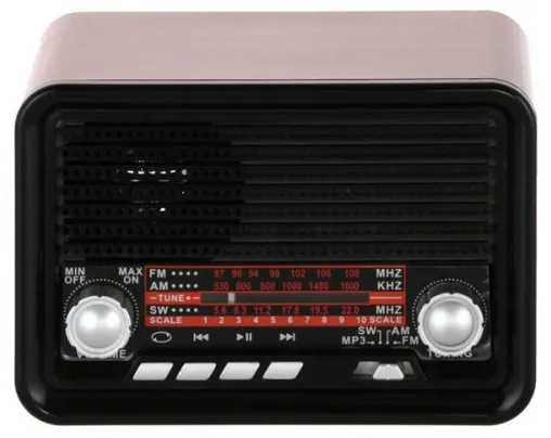 Радиоприемник Ritmix RPR-030 Black