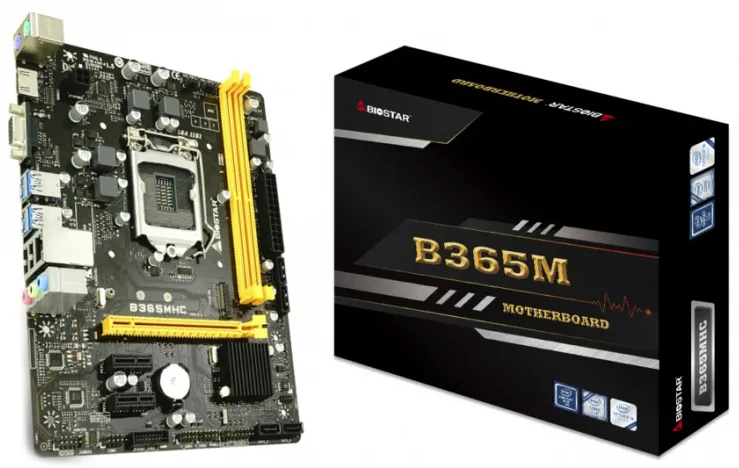 Материнская плата Biostar B365MHC