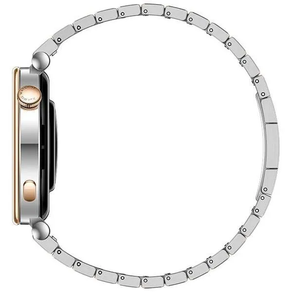 Смарт часы HUAWEI WATCH GT 4 (41mm) Stainless Steel Strap (Aurora-B19T)