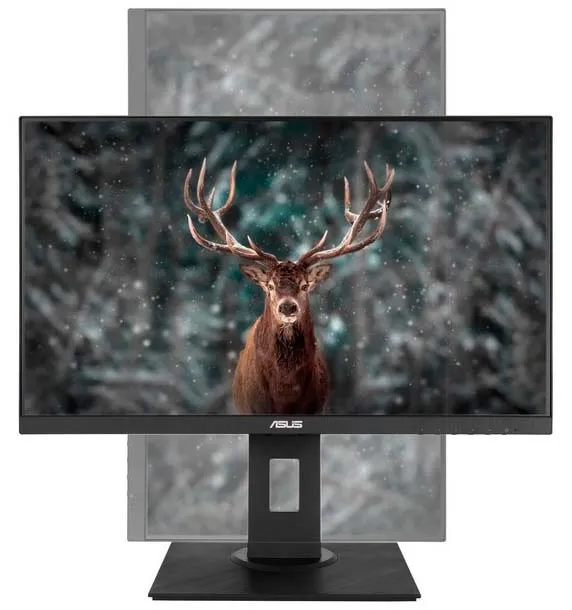 Монитор 23.8" Asus VA24DQLB
