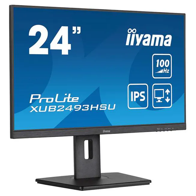Монитор 23,8" iiyama ProLite PL2493HS XUB2493HSU-B6