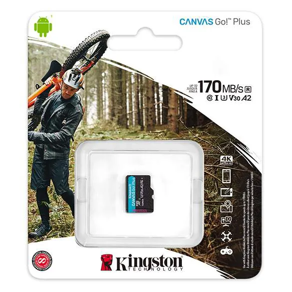 Карта памяти 1TB Kingston SDCG3/1TBSP