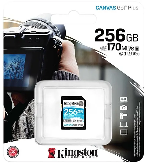 Карта памяти 256GB Kingston SecureDigital SDG3/256GB