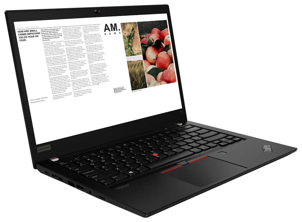 Ноутбук Lenovo ThinkPad T14 20S00006RT