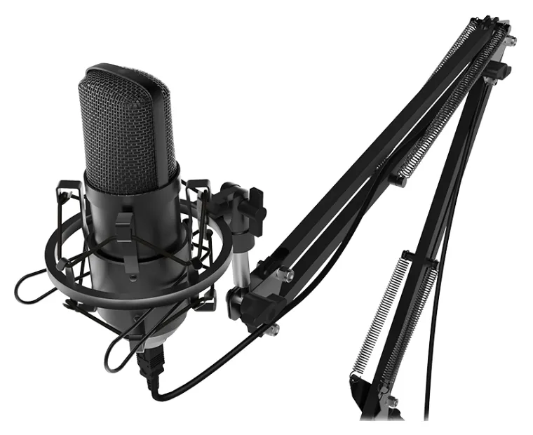 Микрофон RITMIX RDM-180