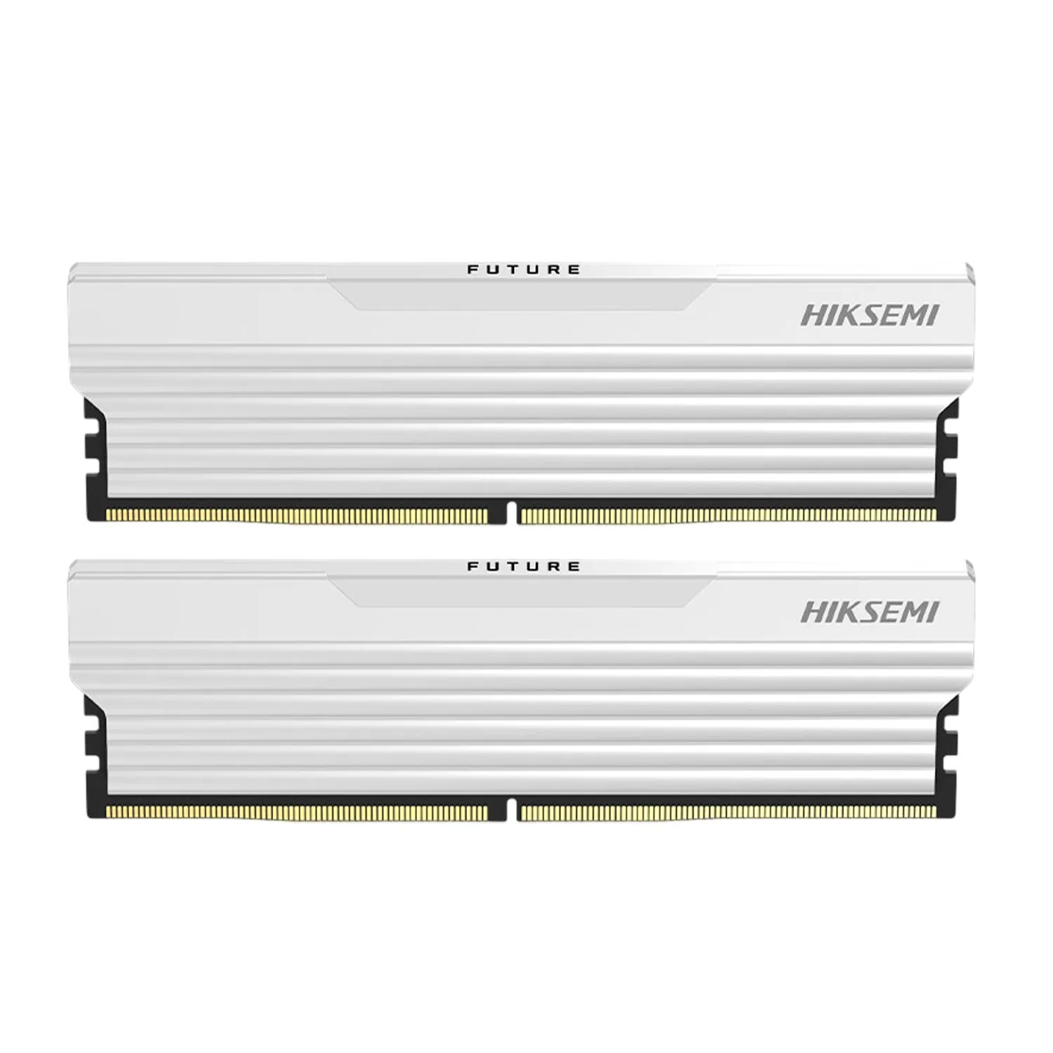 Оперативная память Hiksemi Future HSC416U32F3