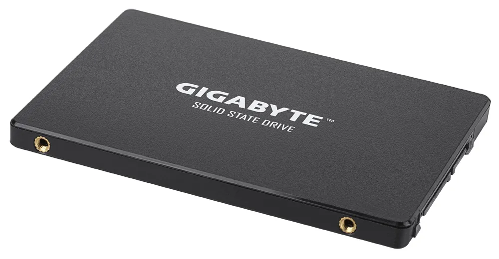 SSD накопитель 256GB Gigabyte GP-GSTFS31256GTND (4719331804329)