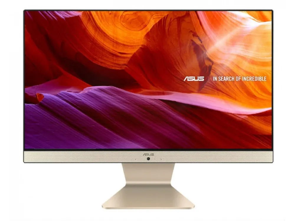 Моноблок All-in-One Asus Vivo V222FAK-BA060D