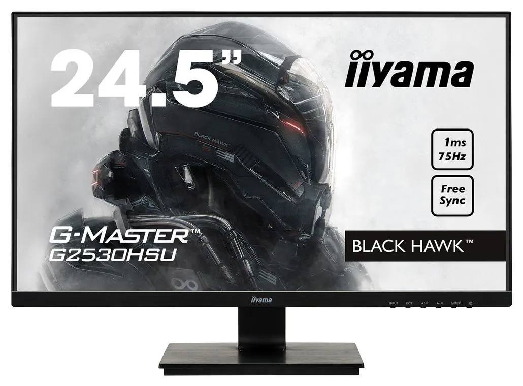 Монитор 24.5" Iiyama G2530HSU-B1