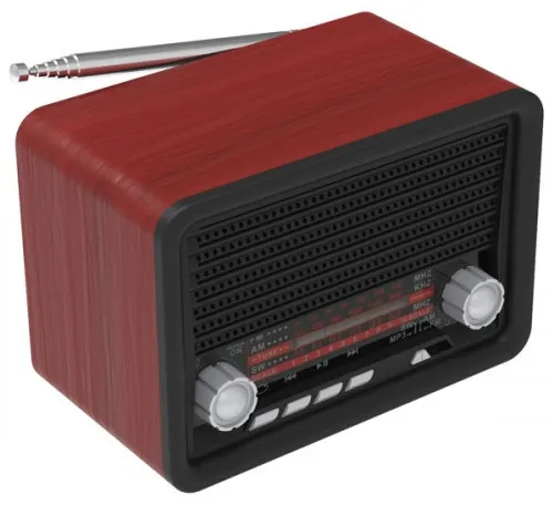 Радиоприемник Ritmix RPR-030 Black