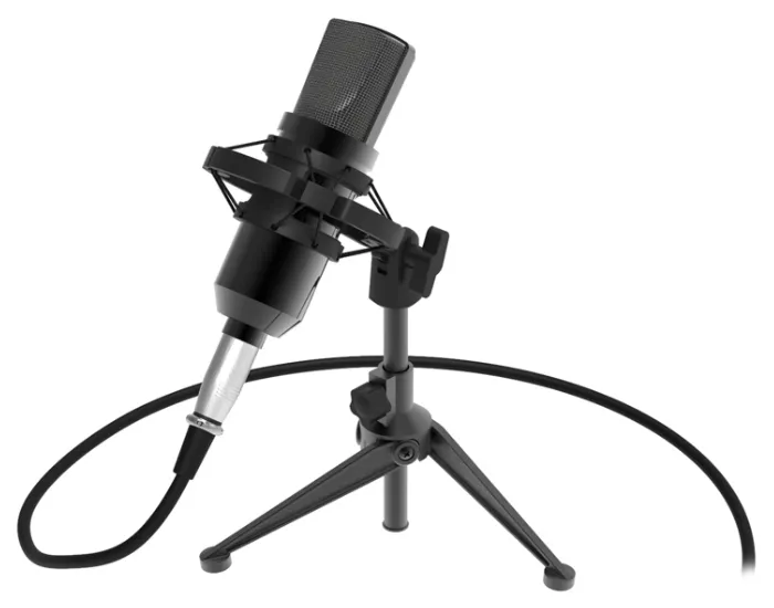 Микрофон RITMIX RDM-160