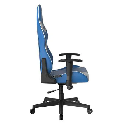 Игровое компьютерное кресло DX Racer Prince GC/LPF132LTCLTA/BW