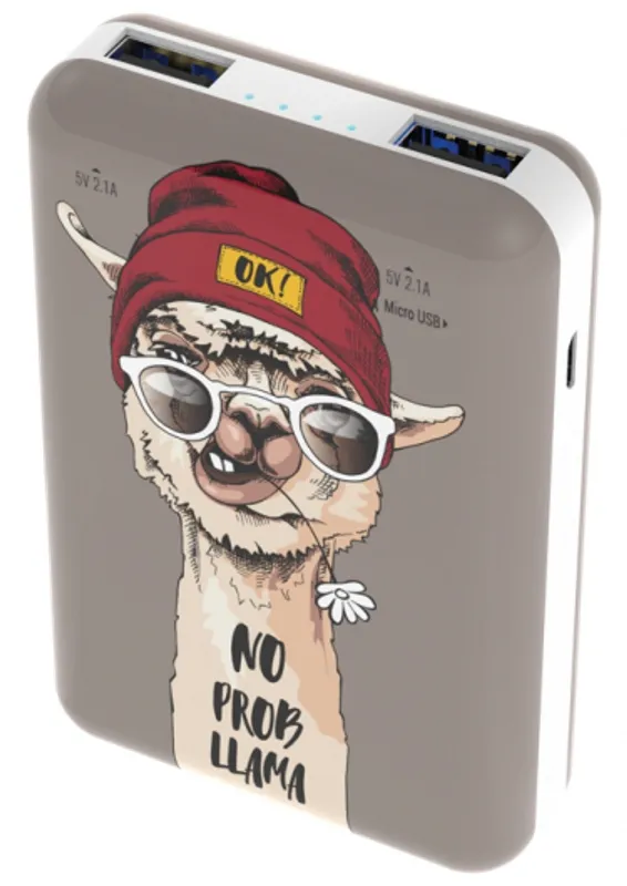 Внешний аккумулятор RITMIX RPB-10007 Lama