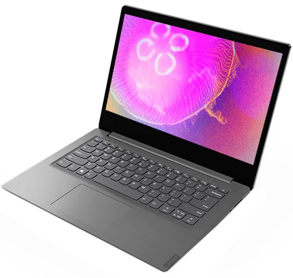 Ноутбук Lenovo V14-ADA 82C6S03900