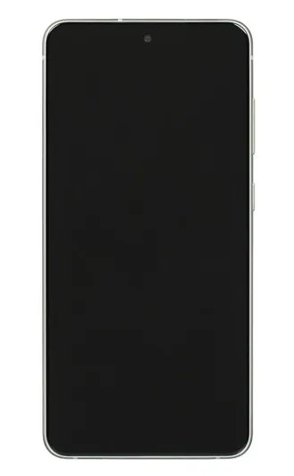 Смартфон Samsung Galaxy S21 FE 128GB Green SM-G990BLGDSKZ