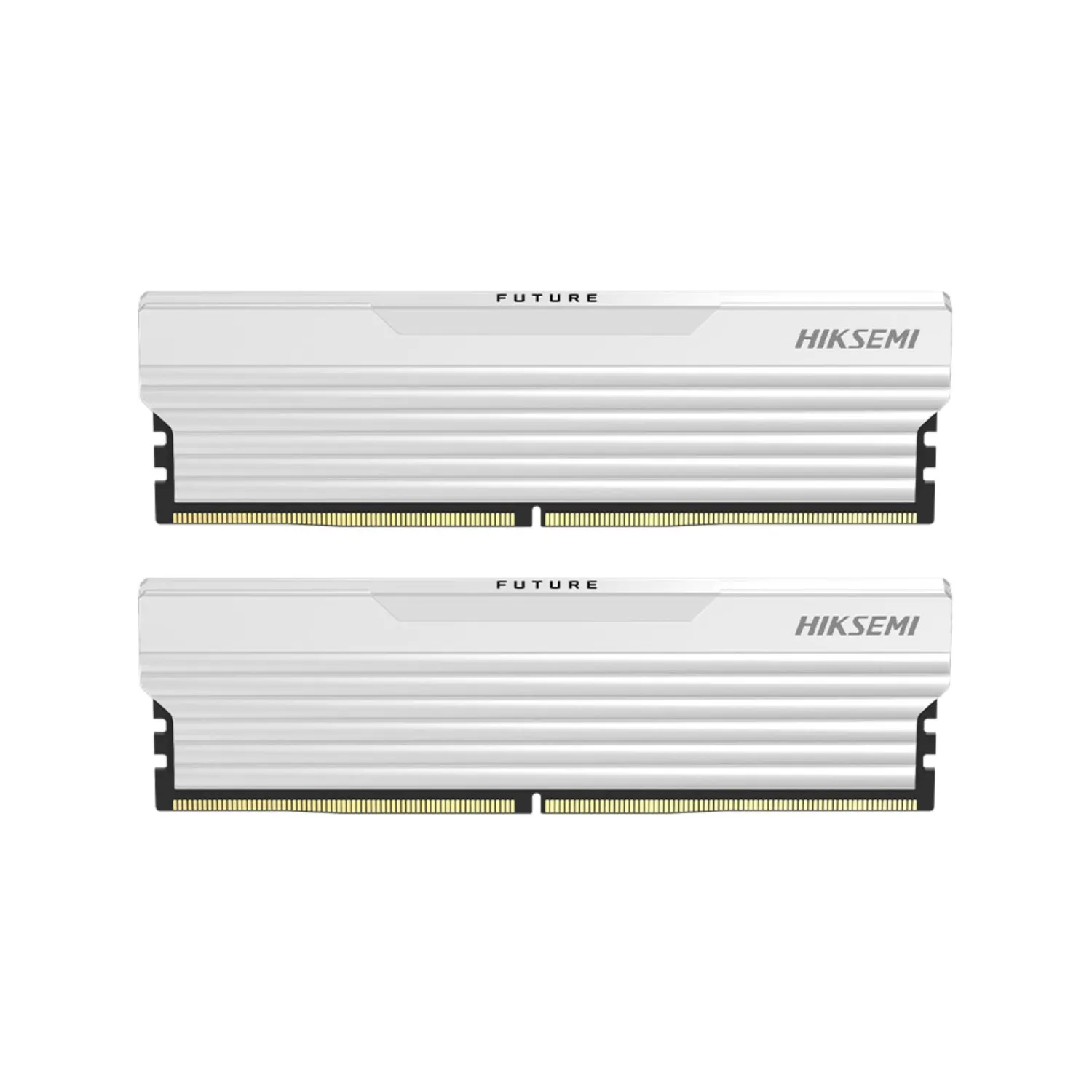 Оперативная память Hiksemi Future HSC432U32F3