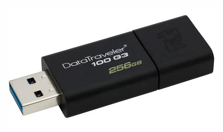 USB Флеш 256GB 3.0 Kingston DT100G3/256GB