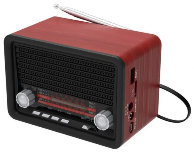 Радиоприемник Ritmix RPR-030 Black