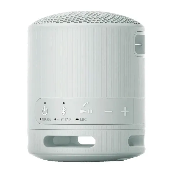 Портативная колонка Sony SRS-XB100/HCE