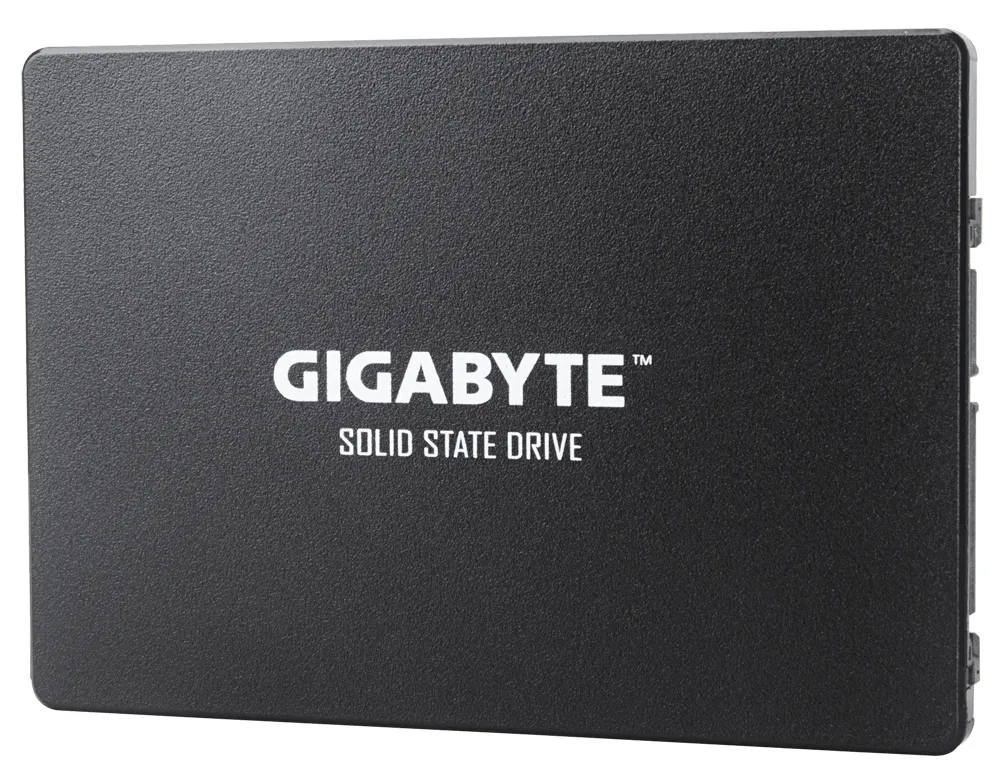 SSD накопитель 256GB Gigabyte GP-GSTFS31256GTND (4719331804329)