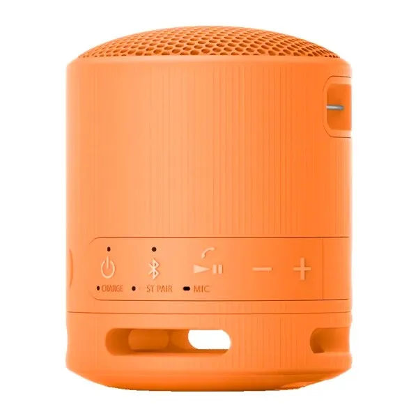 Портативная колонка Sony SRS-XB100/DCE