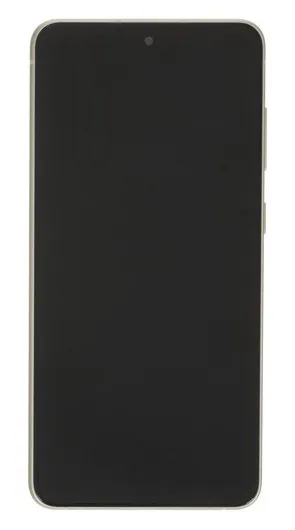 Смартфон Samsung Galaxy S21 FE 256GB Green SM-G990BLGGSKZ