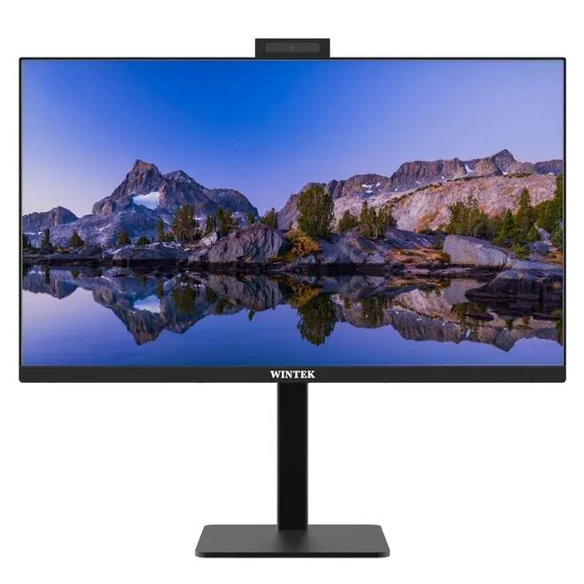 Моноблочная система Wintek BF2402