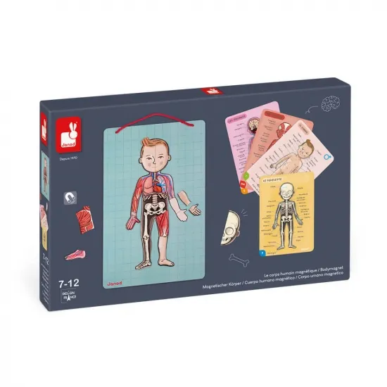Игровой магнитный набор Janod (Тело человека) J05491