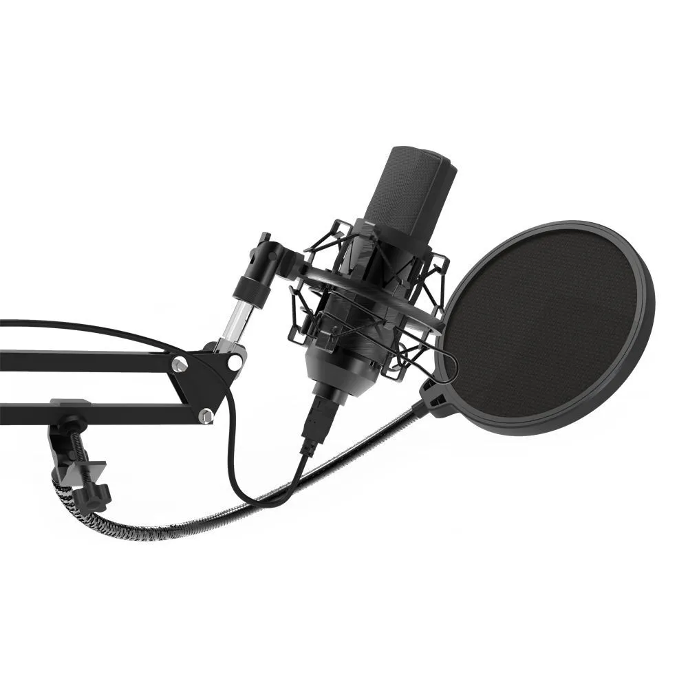Студийный микрофон Ritmix RDM-169