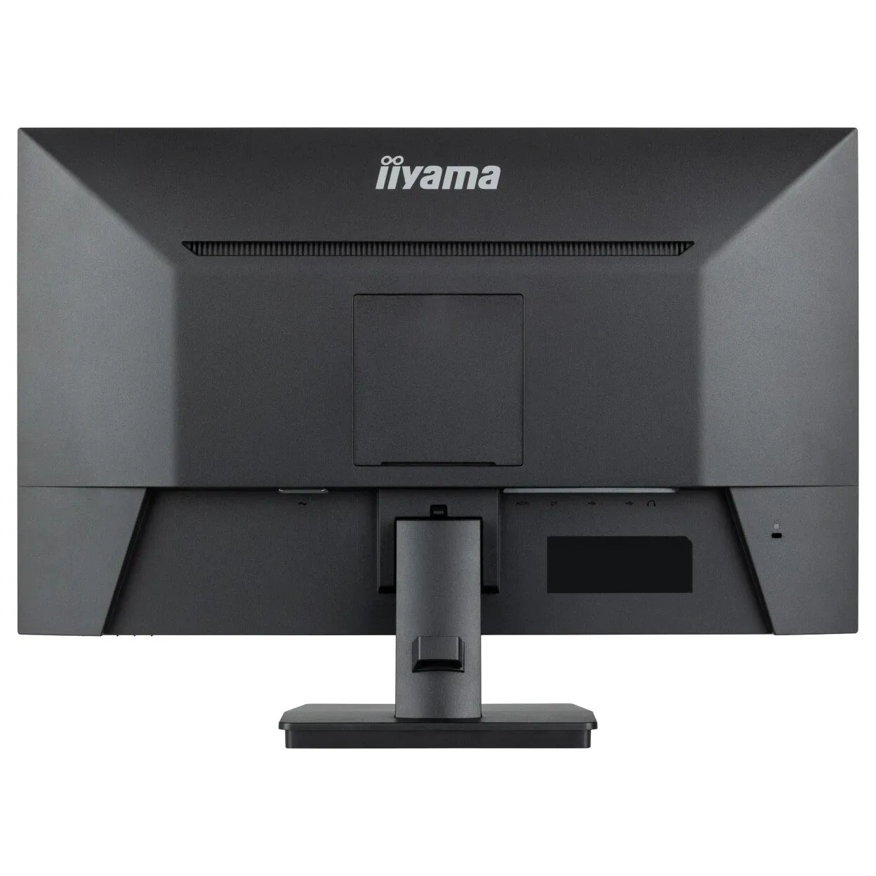 Монитор 23.8" iiyama ProLite PL2493HS XU2493HSU-B7