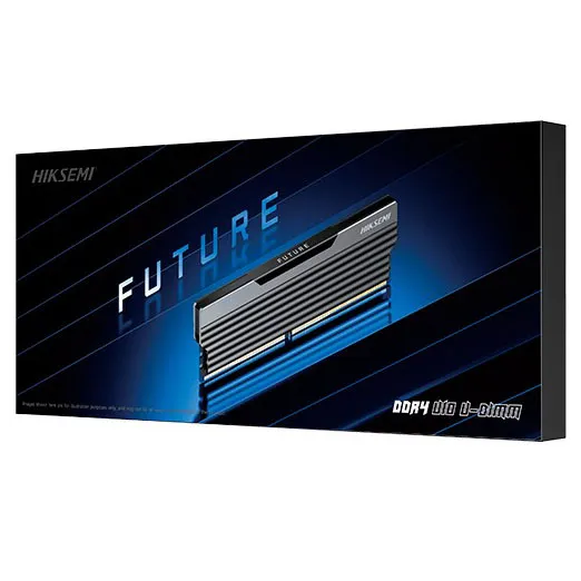 Оперативная память Hiksemi Future HSC408U32C2