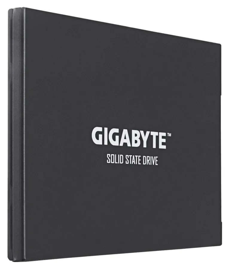 SSD накопитель 256 GB Gigabyte GP-GSTFS30256GTTD