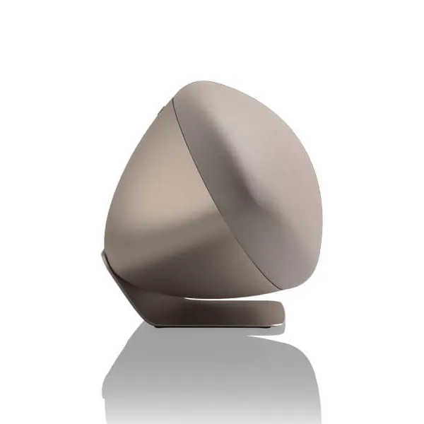 Акустическая система BOWERS & WILKINS ZEPPELIN Pro Edition золото