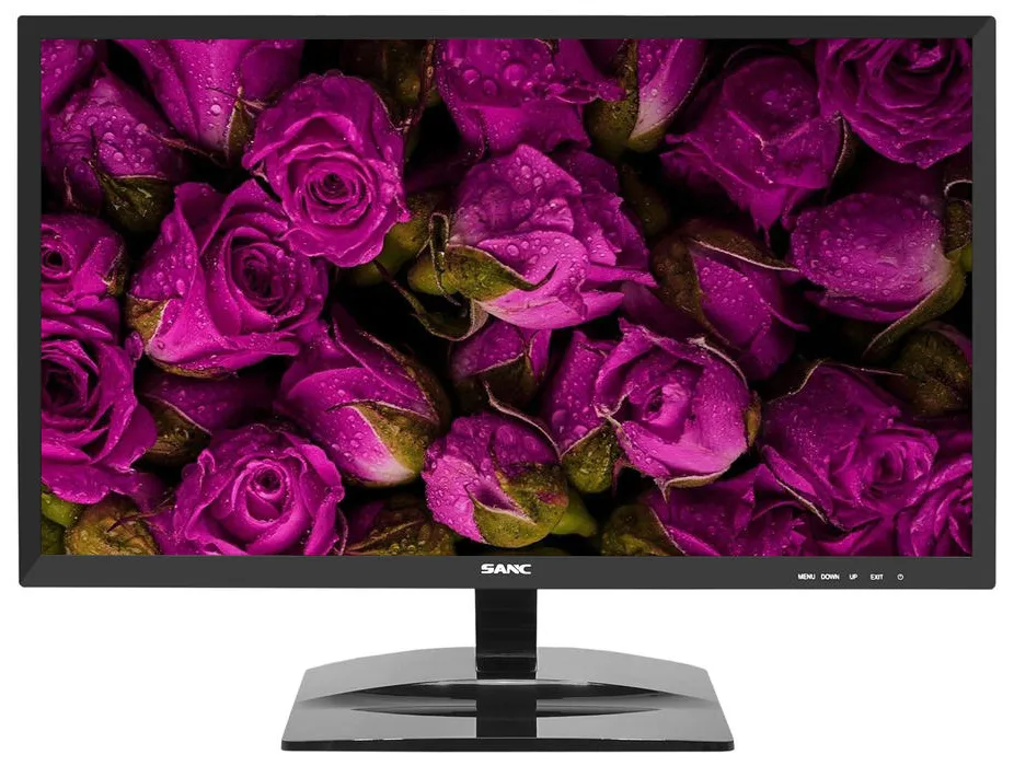 Монитор 21.5" Sanc M2288C