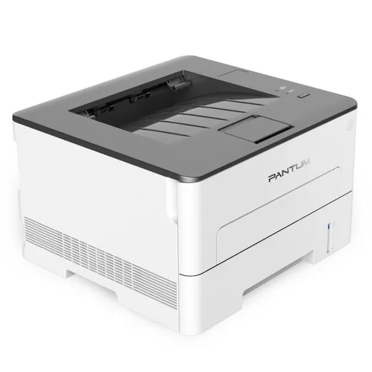 Принтер Pantum P3010D