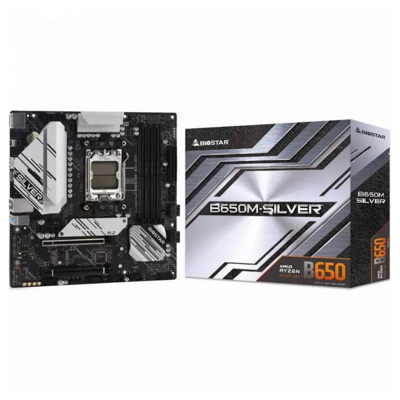 Материнская плата Biostar B650M-SILVER