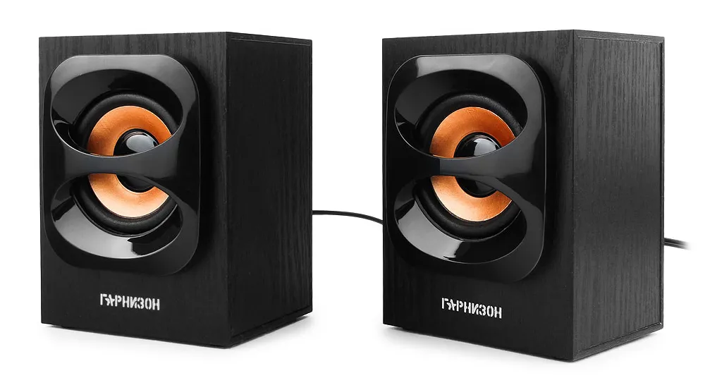 Колонки Гарнизон GSP-300 (2.0) Чёрный