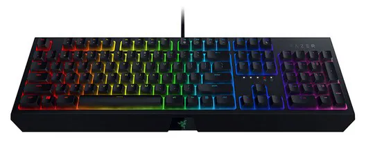 Клавиатура игровая Razer BlackWidow (Green Switch) RZ03-02861100-R3R1